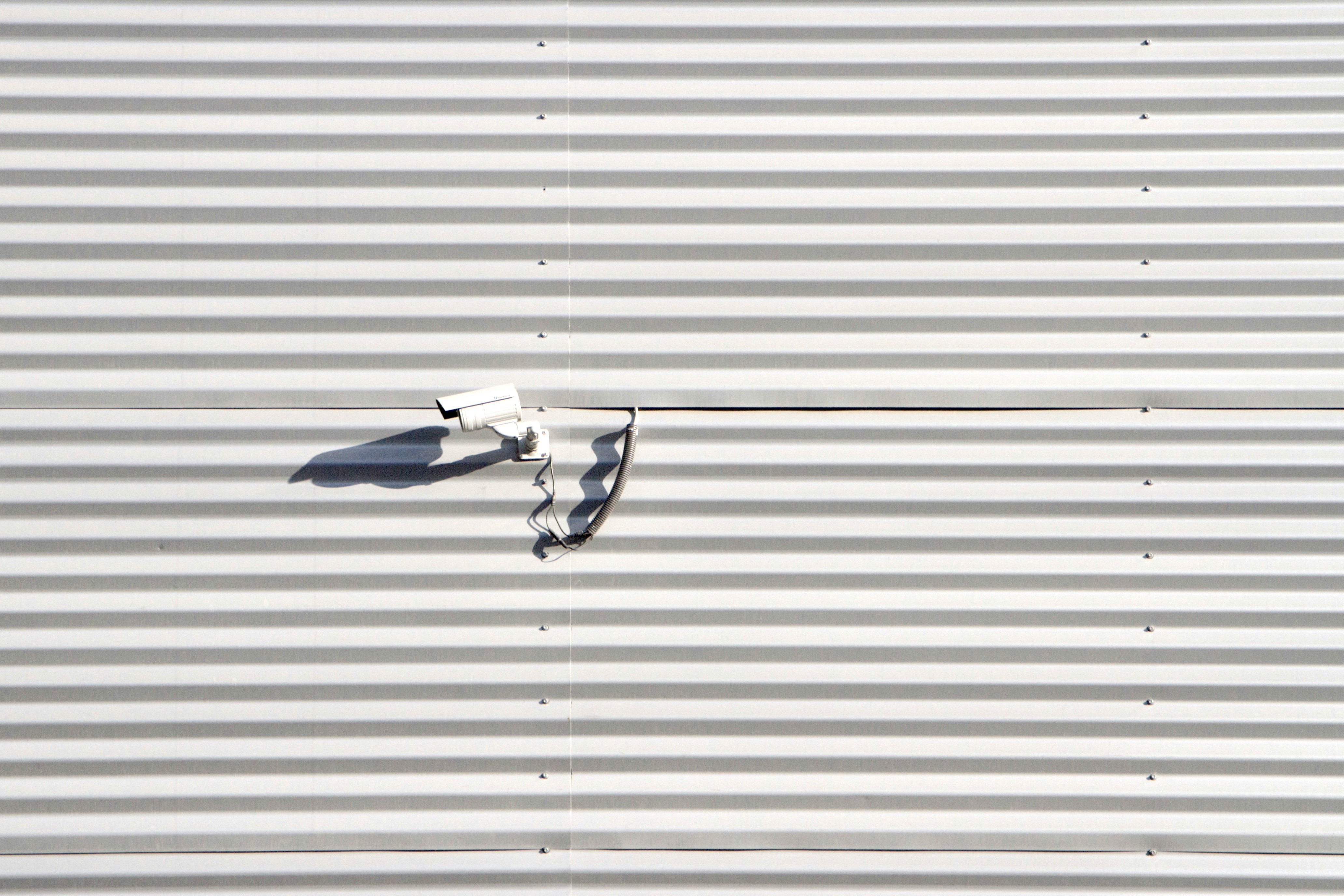 white and black bird flying on white roll up door